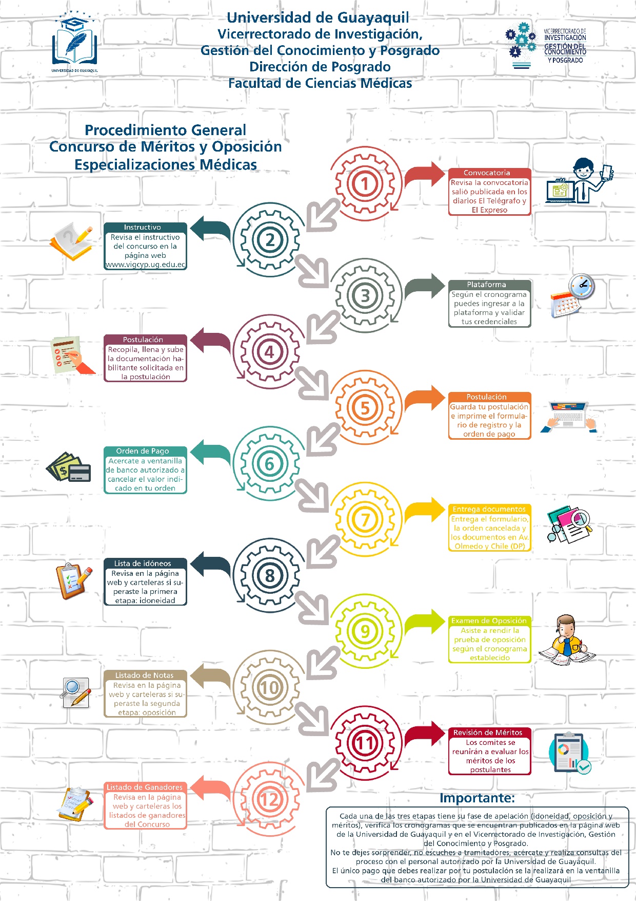 Procedimiento General Concurso de Méritos y Oposición Especializaciones Médicas